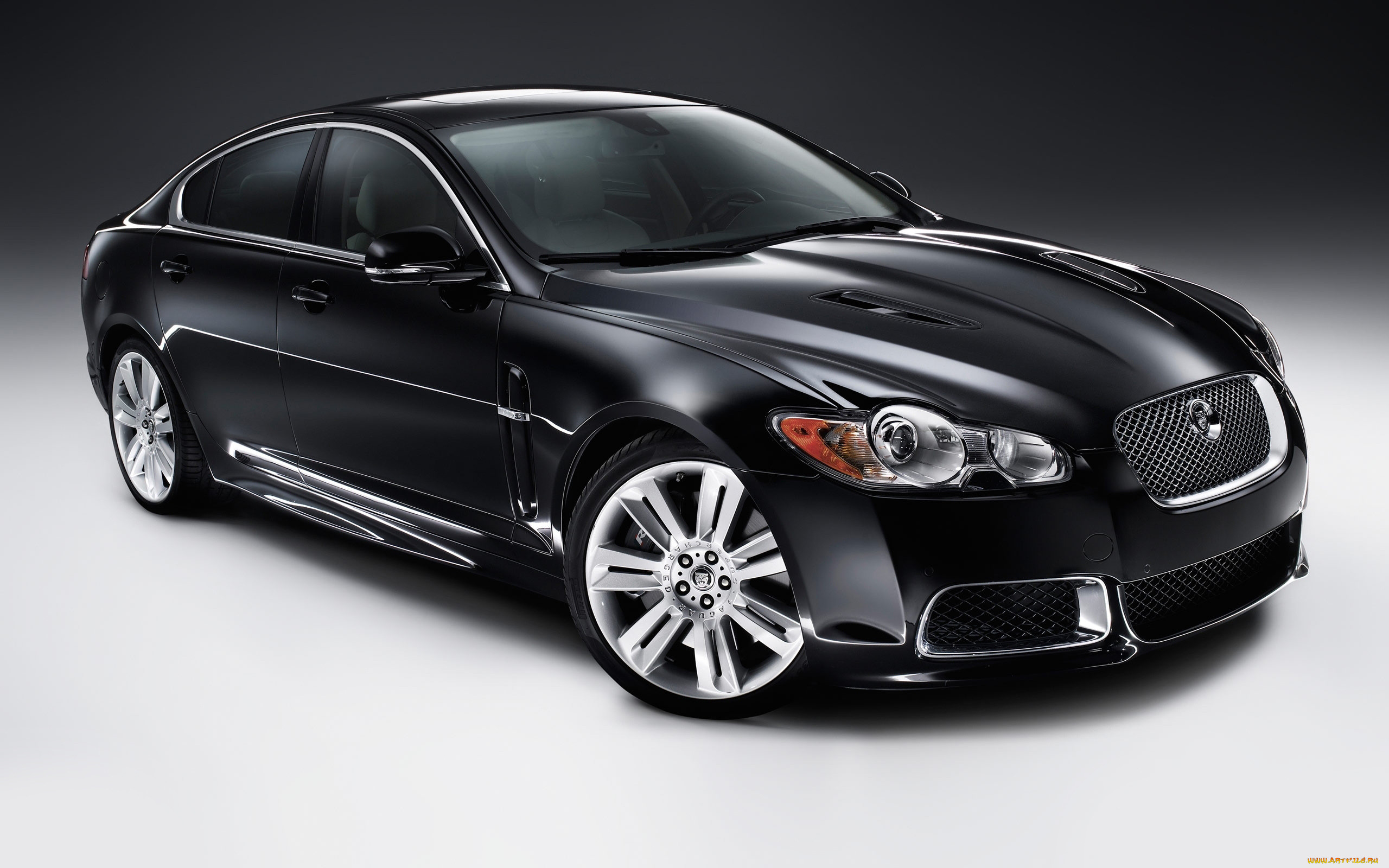 , jaguar